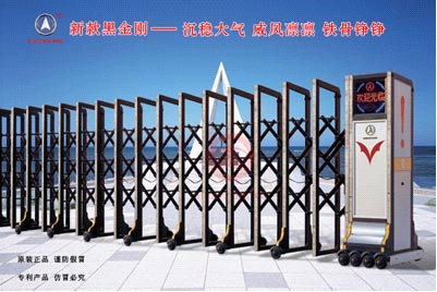 黑金刚系列电动伸缩门